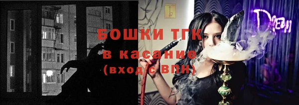 тгк Кулебаки