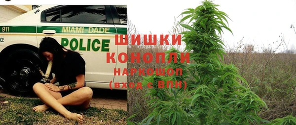 тгк Кулебаки