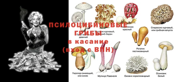 амф Кукмор