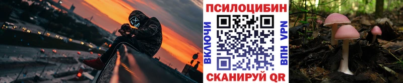 Купить  Кингисепп  Псилоцибиновые грибы GOLDEN TEACHER 